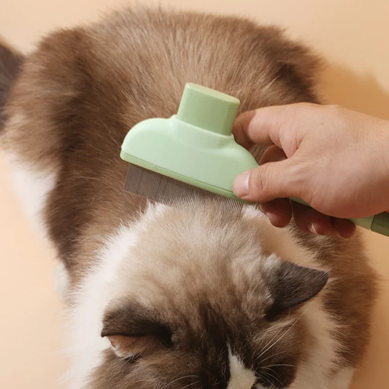 Pet Cat Comb Cat and Dog Hair  - Makeup Beauty Ro ulasan dan harga